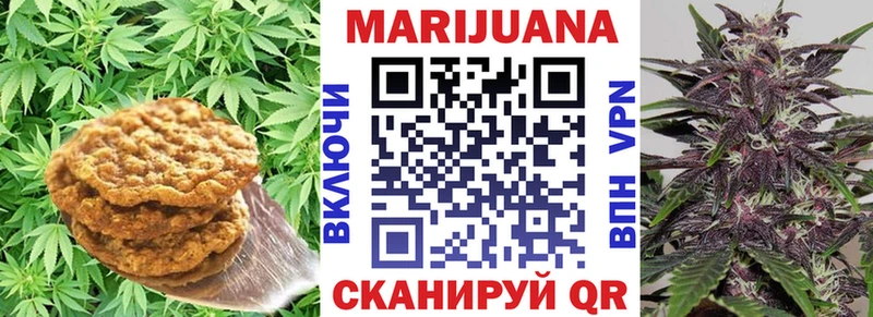 omg ссылка  Дагестанские Огни  Cannafood конопля 