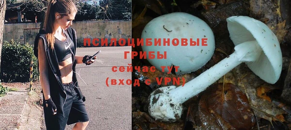 трава Беломорск