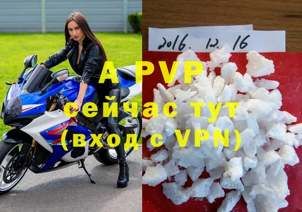 трава Беломорск