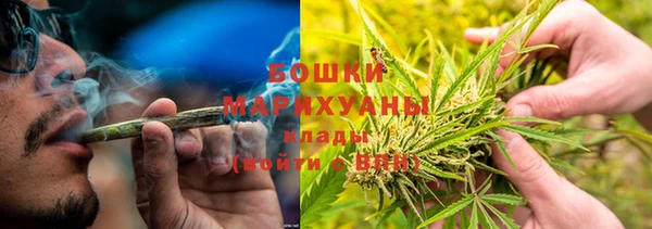 кокс Белокуриха