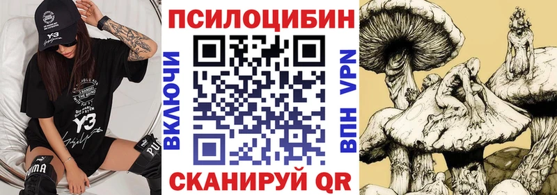 цена   omg сайт  Псилоцибиновые грибы MAGIC MUSHROOMS  Дагестанские Огни 